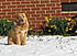 Click image for larger version. 

Name:	IMG_5248.JPG 
Views:	86 
Size:	952.6 KB 
ID:	52674