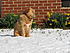 Click image for larger version. 

Name:	IMG_5249.JPG 
Views:	73 
Size:	1.24 MB 
ID:	52675