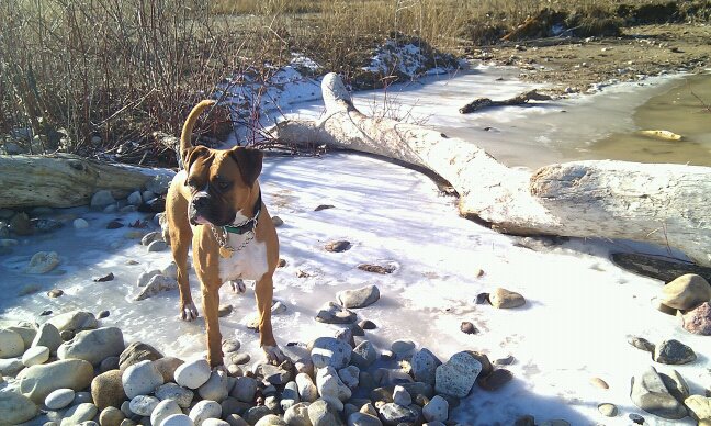 Playin on a warm (50*) winter day.