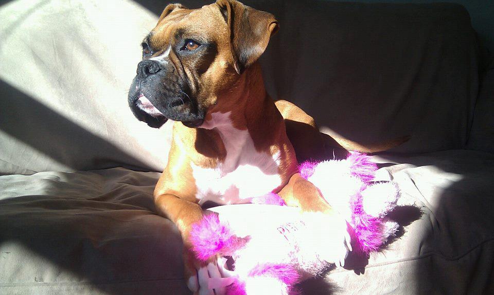 Pretty girl soakin in the sun