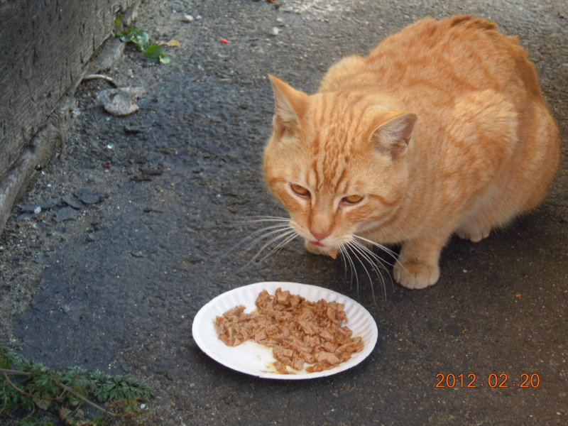 Name:  buddy_(3).jpg
Views: 94
Size:  334.0 KB