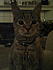 Click image for larger version. 

Name:	2011-05-19_00-16-01_448-1.jpg 
Views:	340 
Size:	65.0 KB 
ID:	52752