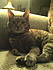Click image for larger version. 

Name:	2011-03-17_21-53-40_913-1.jpg 
Views:	340 
Size:	90.3 KB 
ID:	52754