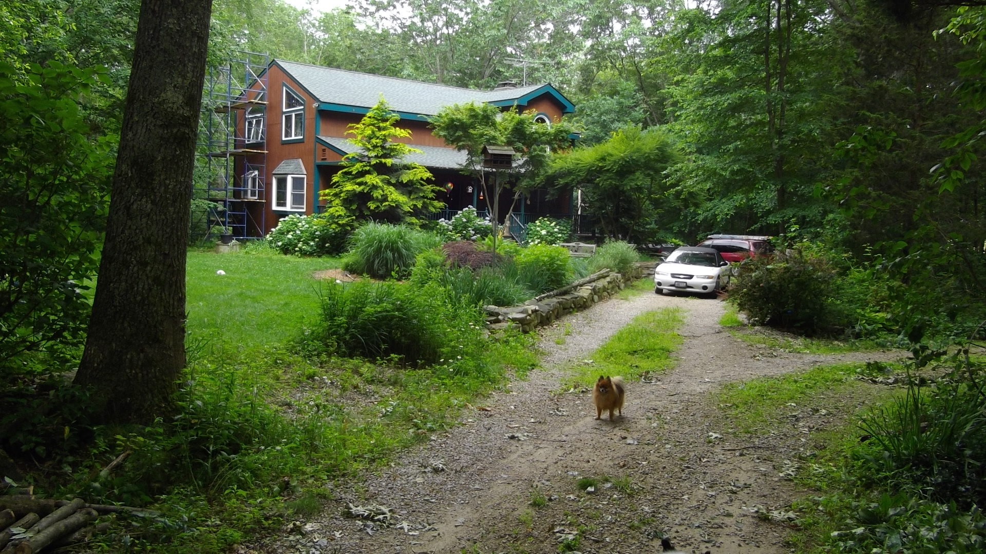 IMGP0630