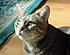 Click image for larger version. 

Name:	DSCN1115.JPG 
Views:	77 
Size:	311.1 KB 
ID:	52815
