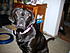 Click image for larger version. 

Name:	IMG_6916.JPG 
Views:	71 
Size:	120.5 KB 
ID:	52870