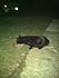 Click image for larger version. 

Name:	kitkit_side.JPG 
Views:	60 
Size:	41.4 KB 
ID:	52916