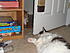Click image for larger version. 

Name:	DSC03640.jpg 
Views:	90 
Size:	1.40 MB 
ID:	52920