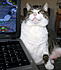 Click image for larger version. 

Name:	IMG_6980.JPG 
Views:	91 
Size:	113.3 KB 
ID:	52972