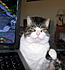 Click image for larger version. 

Name:	IMG_6985.JPG 
Views:	81 
Size:	125.4 KB 
ID:	52973