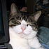 Click image for larger version. 

Name:	IMG_7012.JPG 
Views:	83 
Size:	169.3 KB 
ID:	52975