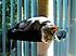 Click image for larger version. 

Name:	Eve 6 Mar 16 2012.JPG 
Views:	45 
Size:	302.2 KB 
ID:	53000