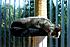 Click image for larger version. 

Name:	Eve 8 Mar 16 2012.JPG 
Views:	48 
Size:	333.6 KB 
ID:	53001