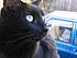 Click image for larger version. 

Name:	IMG_1536.JPG 
Views:	89 
Size:	927.1 KB 
ID:	53004