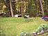 Click image for larger version. 

Name:	bears-cats- 053.jpg 
Views:	88 
Size:	1.18 MB 
ID:	53007