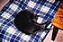 Click image for larger version. 

Name:	smokey011.jpg 
Views:	65 
Size:	852.0 KB 
ID:	53048