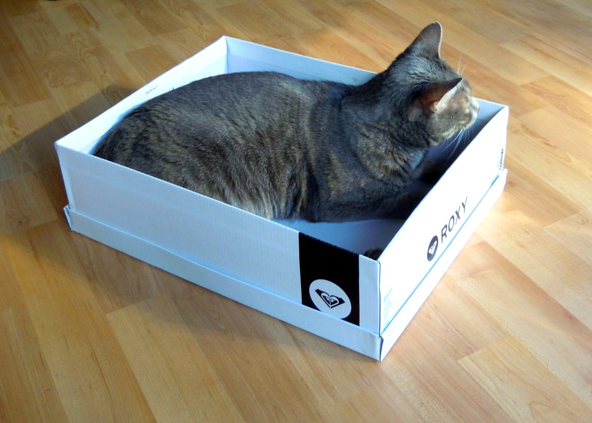 Eve box position 2 Mar 21 2012