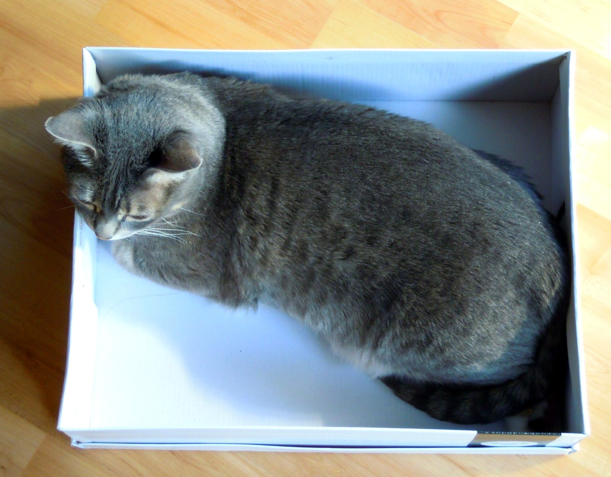 Eve box position 1 Mar 21 2012