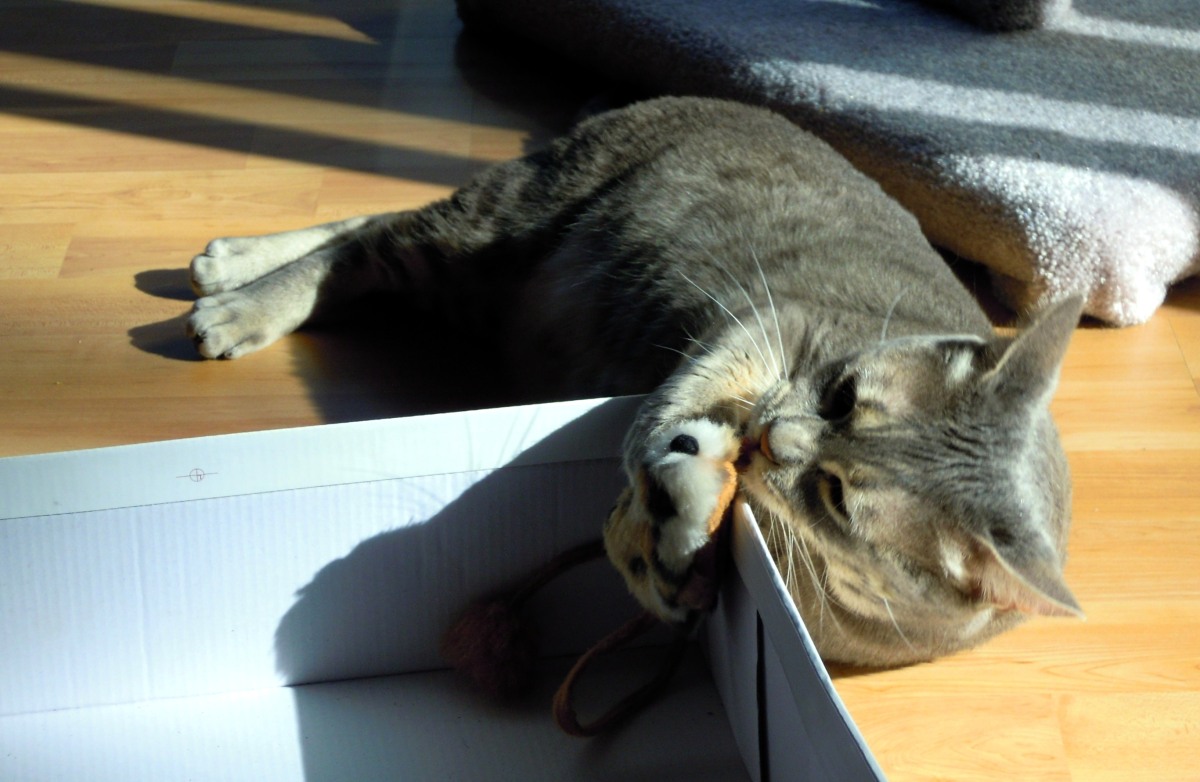 Eve giving mousie a kiss Mar 21 2012