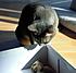 Click image for larger version. 

Name:	Eve talking to mouse Mar 21 2012.JPG 
Views:	70 
Size:	296.7 KB 
ID:	53076