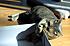 Click image for larger version. 

Name:	Eve giving mousie a kiss Mar 21 2012.JPG 
Views:	67 
Size:	222.5 KB 
ID:	53077