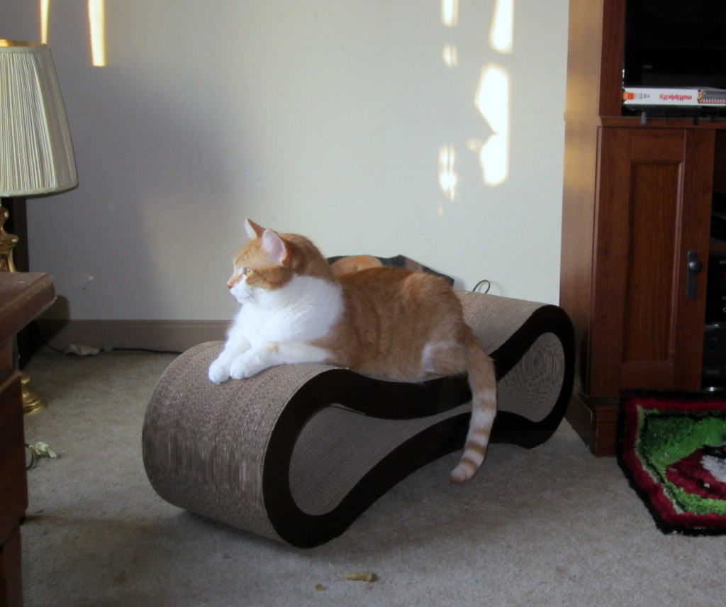 Name:  bud-lounger-scratcher.jpg
Views: 135
Size:  129.9 KB
