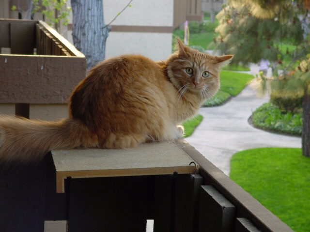 BalconyRusty