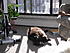Click image for larger version. 

Name:	P3290035.JPG 
Views:	69 
Size:	1.17 MB 
ID:	53155