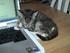 Click image for larger version. 

Name:	Jax.bmp 
Views:	60 
Size:	506.3 KB 
ID:	53240