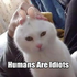 Click image for larger version. 

Name:	kitbunEaster.png 
Views:	68 
Size:	126.4 KB 
ID:	53241