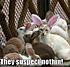 Click image for larger version. 

Name:	555427_10150643269921837_180246286836_9628009_783238296_n.jpg 
Views:	51 
Size:	49.1 KB 
ID:	53242