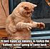 Click image for larger version. 

Name:	5a8e0776-057b-42a9-b881-4cf2e0f9edbb.jpg 
Views:	2192 
Size:	59.0 KB 
ID:	53252