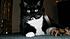 Click image for larger version. 

Name:	390883_317768084909599_100000292313010_1215276_713377049_n[1].jpg 
Views:	107 
Size:	9.0 KB 
ID:	53274