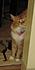 Click image for larger version. 

Name:	blaze.jpg 
Views:	33 
Size:	114.6 KB 
ID:	53305
