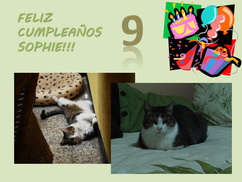 Name:  cumple sophie 2012.jpg
Views: 189
Size:  73.1 KB