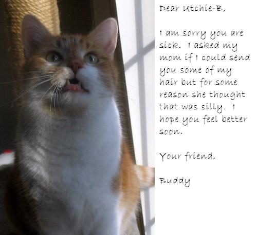dearutchie