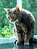 Click image for larger version. 

Name:	Eve bath 5 Apr 21 2012.JPG 
Views:	89 
Size:	350.4 KB 
ID:	53342
