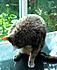 Click image for larger version. 

Name:	Eve bath 4 Apr 21 2012.JPG 
Views:	93 
Size:	382.1 KB 
ID:	53343