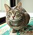 Click image for larger version. 

Name:	Eve after bath 5 Apr 21 2012.JPG 
Views:	84 
Size:	356.8 KB 
ID:	53345