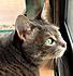 Click image for larger version. 

Name:	Eve after bath 7 Apr 21 2012.JPG 
Views:	95 
Size:	426.7 KB 
ID:	53346