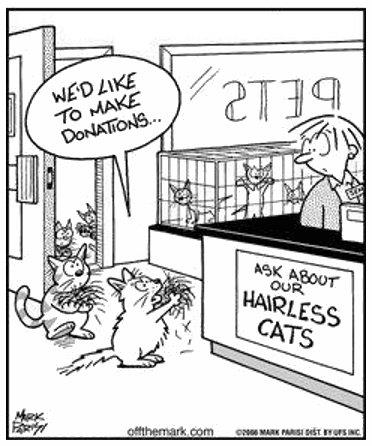 Name:  hairlesscats.jpg
Views: 1943
Size:  36.5 KB