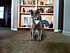 Click image for larger version. 

Name:	Colby's Brother Duncan.jpg 
Views:	56 
Size:	75.3 KB 
ID:	53366