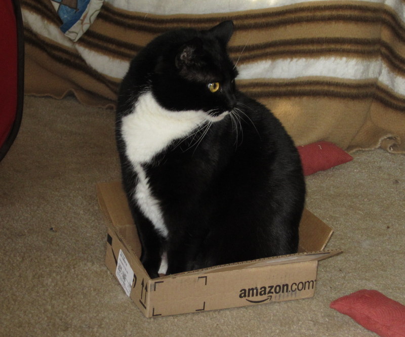 Name:  tinker-amazon.jpg
Views: 221
Size:  113.5 KB