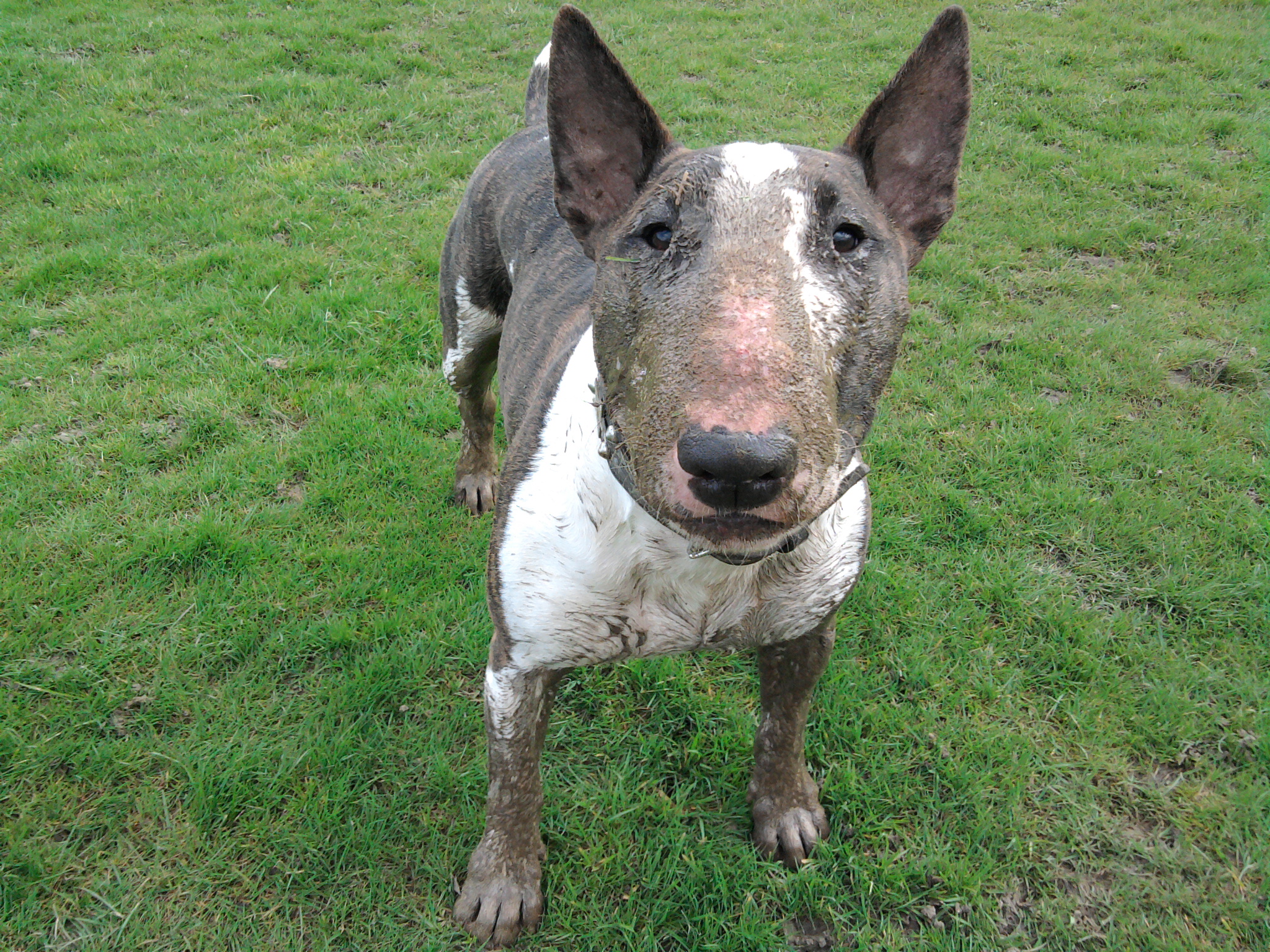 I only threw the ball once