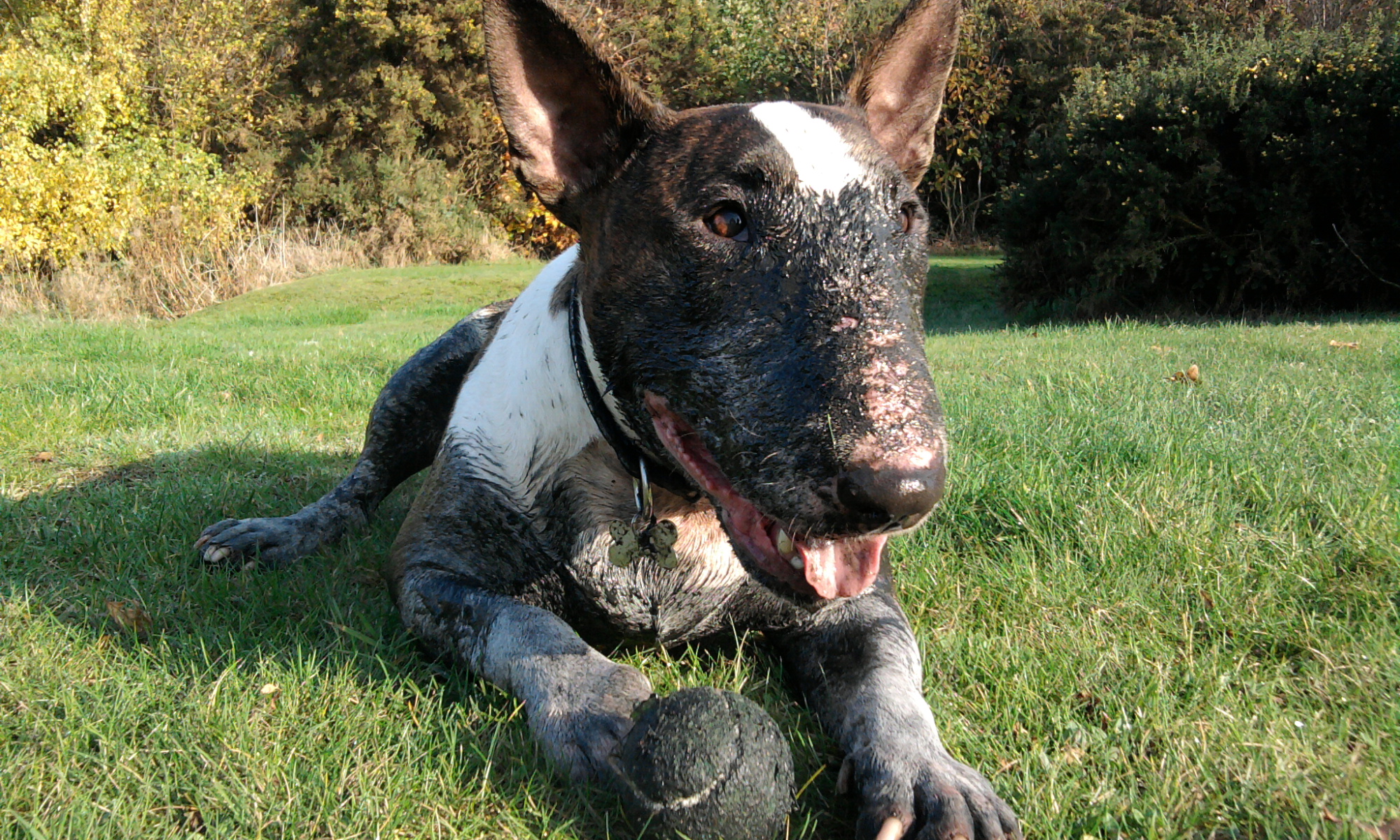 dirty boy