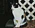 Click image for larger version. 

Name:	Tonka.jpg 
Views:	46 
Size:	99.2 KB 
ID:	53447