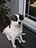 Click image for larger version. 

Name:	Cindys 2009 020.jpg 
Views:	63 
Size:	610.1 KB 
ID:	53453