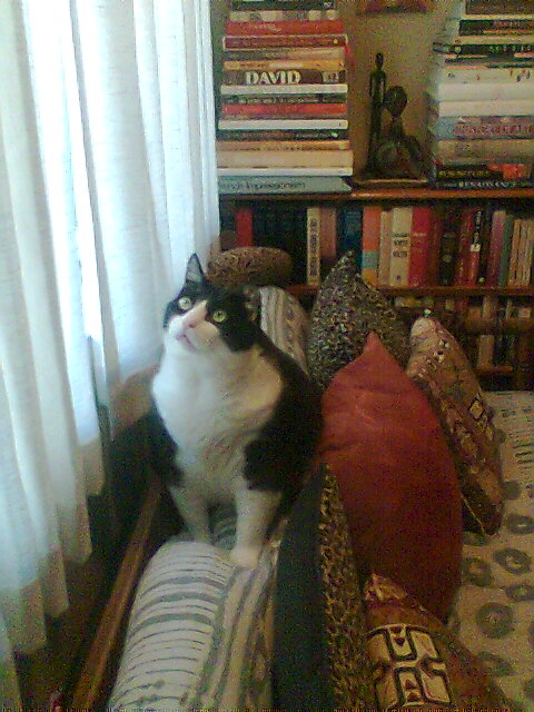 Crunch on sofa