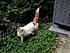 Click image for larger version. 

Name:	Photo0327.jpg 
Views:	72 
Size:	117.4 KB 
ID:	53506