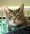 Click image for larger version. 

Name:	Eve 3 May 12 2012.JPG 
Views:	51 
Size:	403.1 KB 
ID:	53535